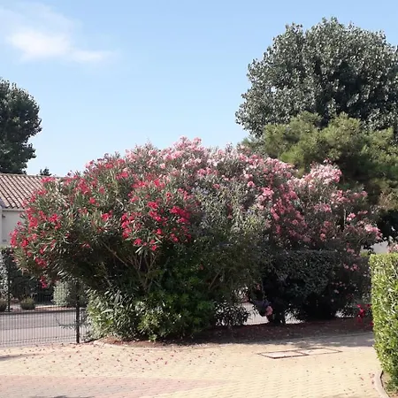 Quartier Naturiste Cap D'agde דירה